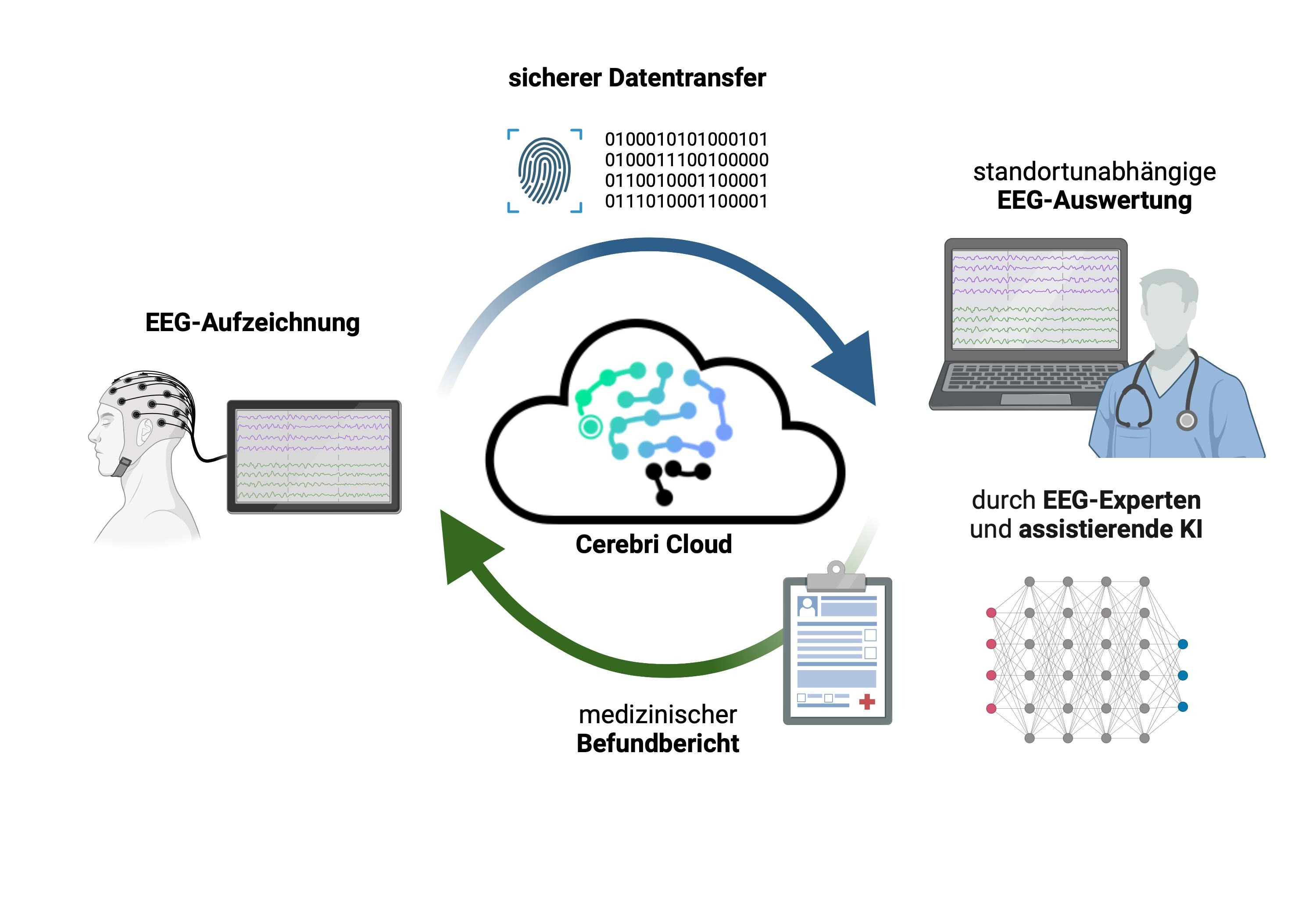 Schematic representation of the process of analysing EEG recordings by Cerebri. The individual stations are illustrated.