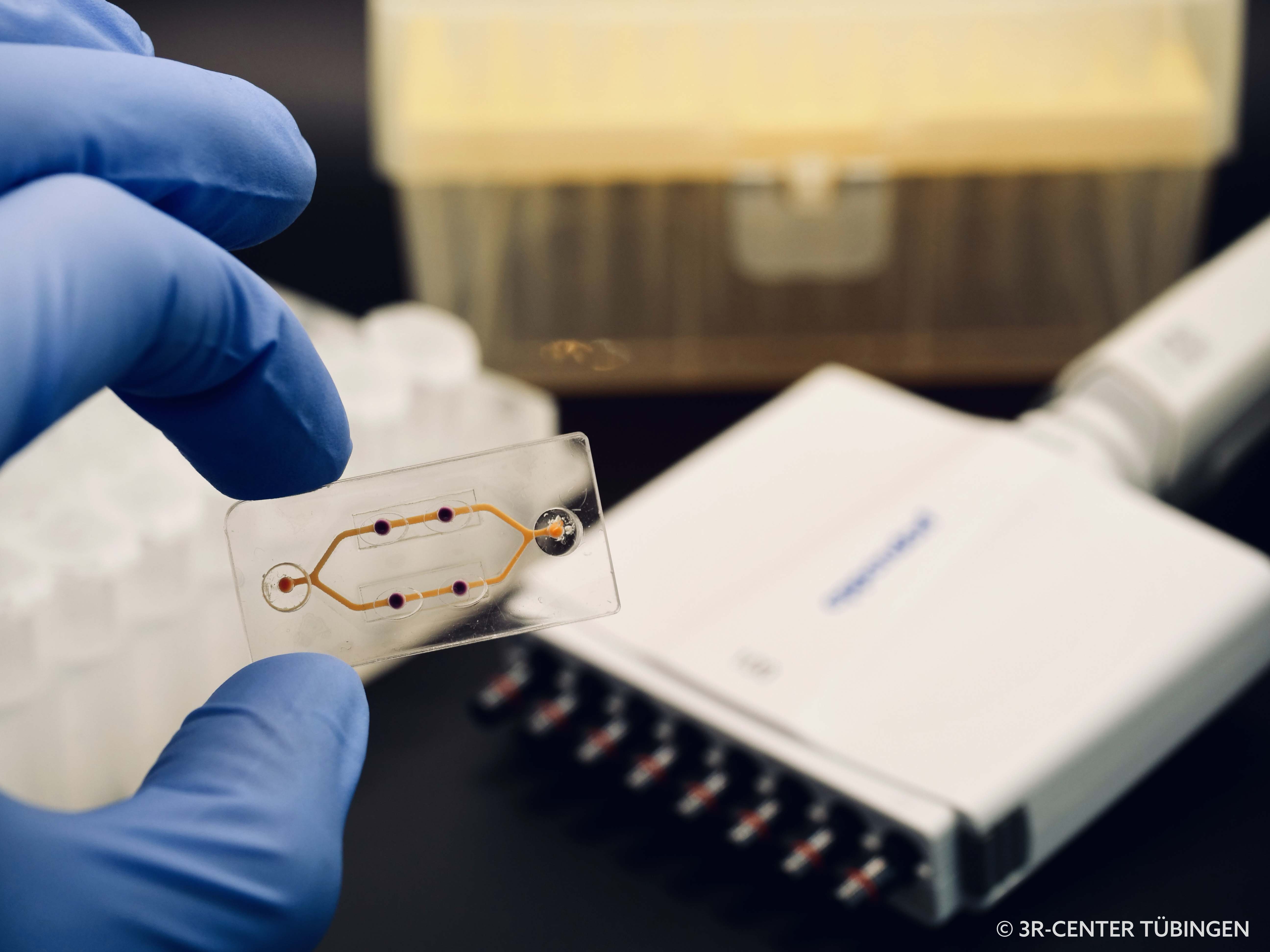 A hand in a blue nitrile glove holding a chip in the camera, on which small channels can be seen.