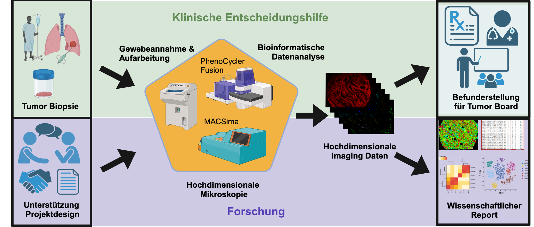 Die einzelnen Schritte des Workflows bei Vicinity Bio sind zeichnerisch dargestellt.