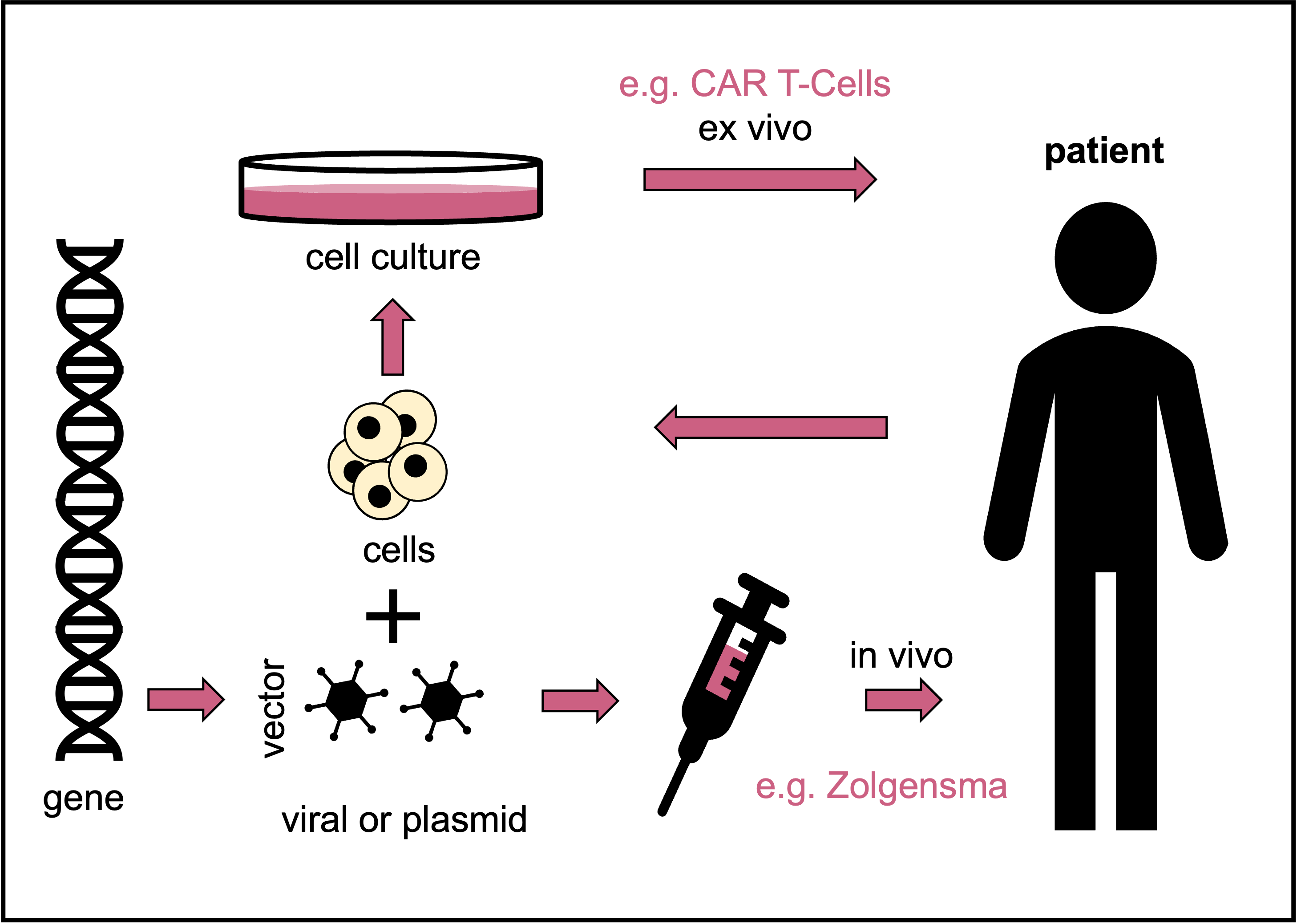 t cell gene therapy